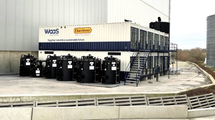 WaaS container at Clarebout Warneton